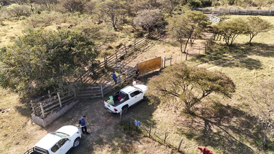 Commercial Property for Sale in Kei Road Eastern Cape